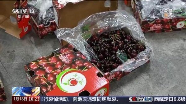 开云体育(中国)官方网站　　采摘后的车厘子也不是径直装箱-开