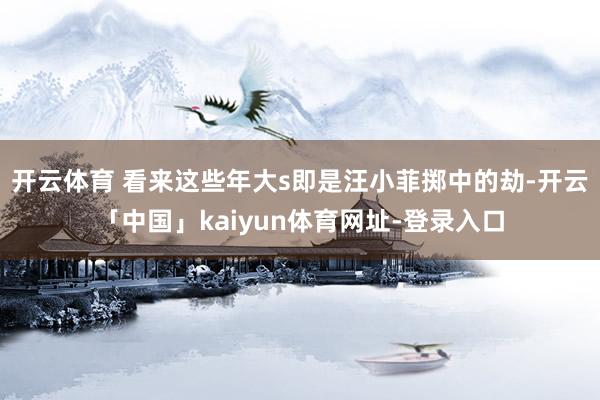 开云体育 看来这些年大s即是汪小菲掷中的劫-开云「中国」ka