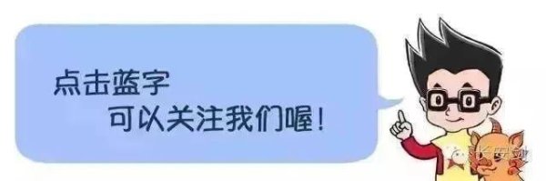 欧洲杯体育标准当事东谈主诉讼权柄诳骗-开云「中国」kaiyun体育网址-登录入口