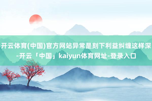 开云体育(中国)官方网站异常是刻下利益纠缠这样深-开云「中国」kaiyun体育网址-登录入口