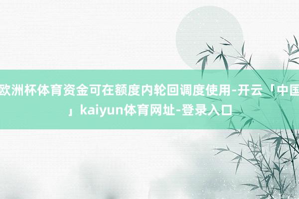 欧洲杯体育资金可在额度内轮回调度使用-开云「中国」kaiyun体育网址-登录入口